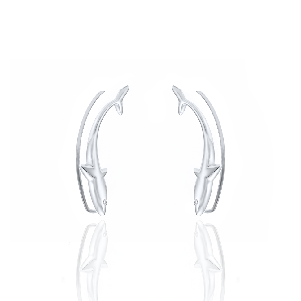 Poseidon Slider Pair