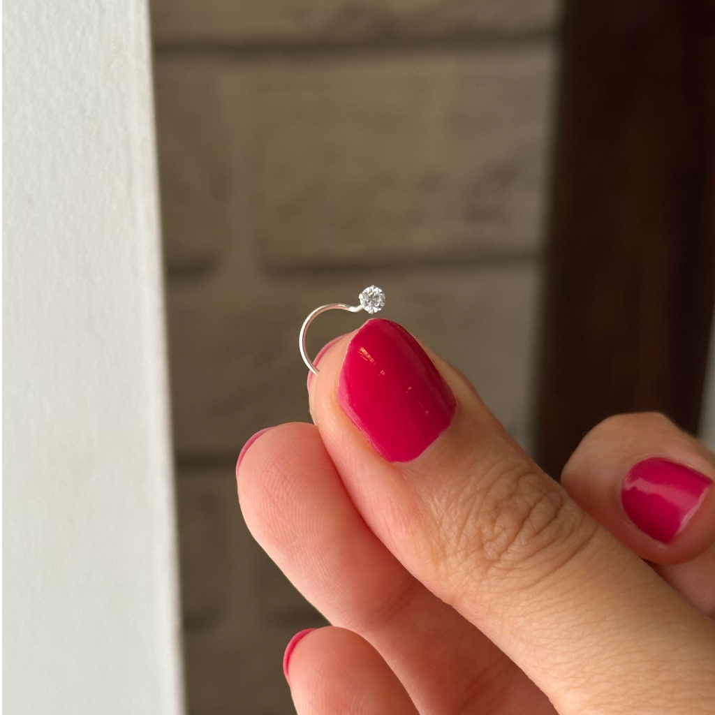 Sparkly Round Nose Pin