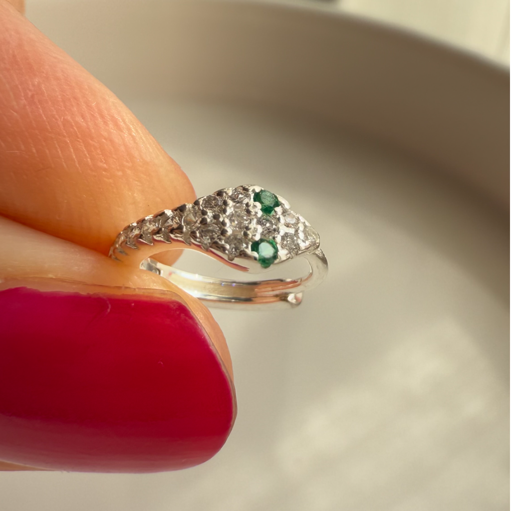 Reputation Hoop Pair