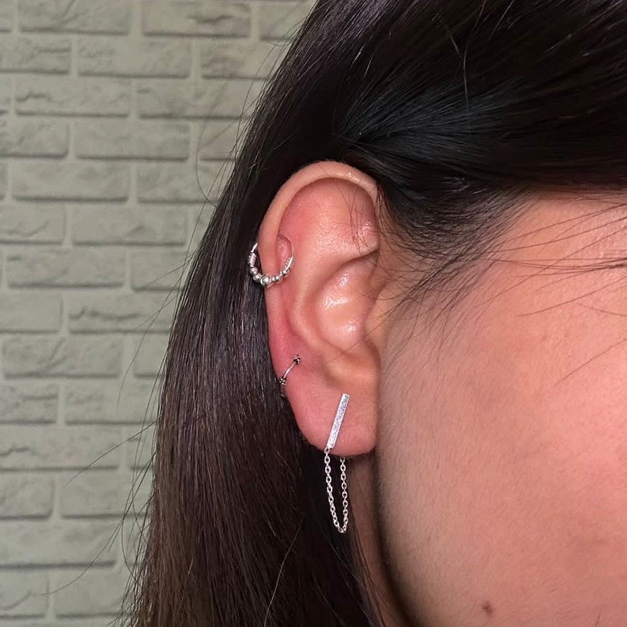 Avante Garde earrings