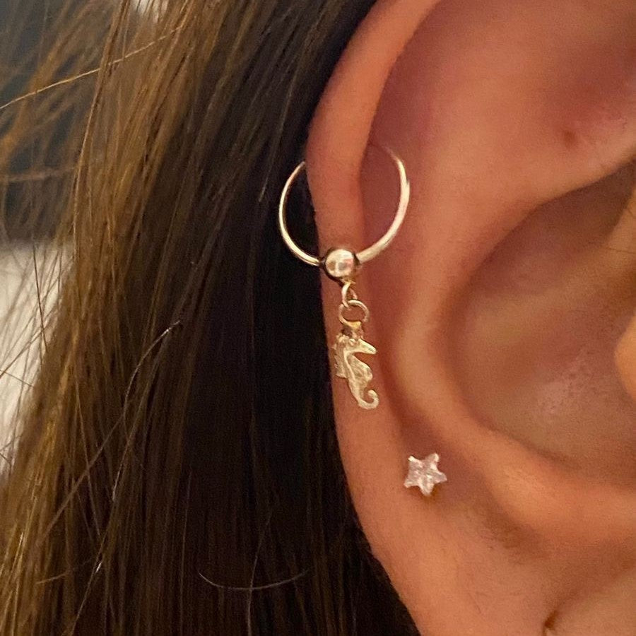 Horsey Upperlobe Hoop Pair